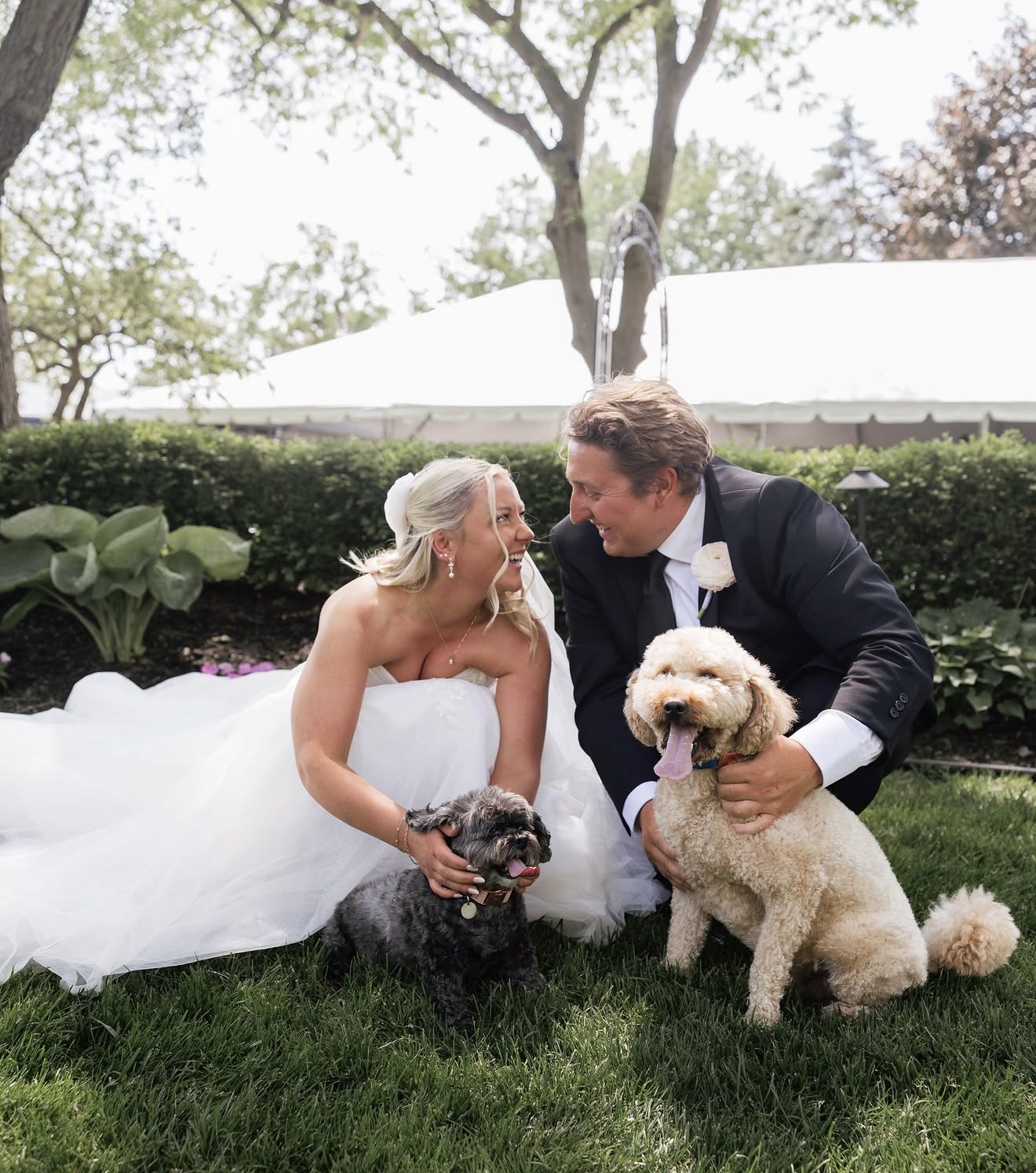 Weddings and elopements collection cover